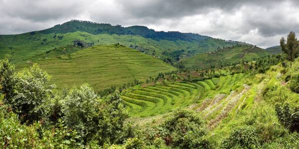 Rwanda climate change agriculture